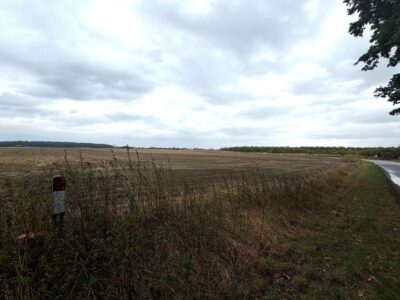 Działka inwestycyjna 1,76 ha | WZ na 14 domów | Pyrzyce