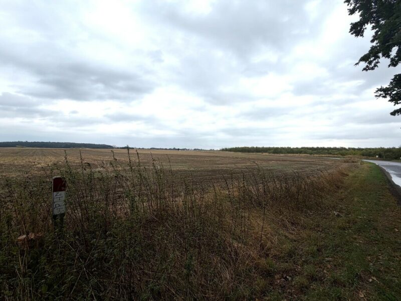Działka inwestycyjna 1,76 ha | WZ na 14 domów | Pyrzyce