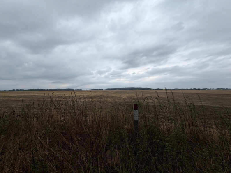 Działka inwestycyjna 1,76 ha | WZ na 14 domów | Pyrzyce