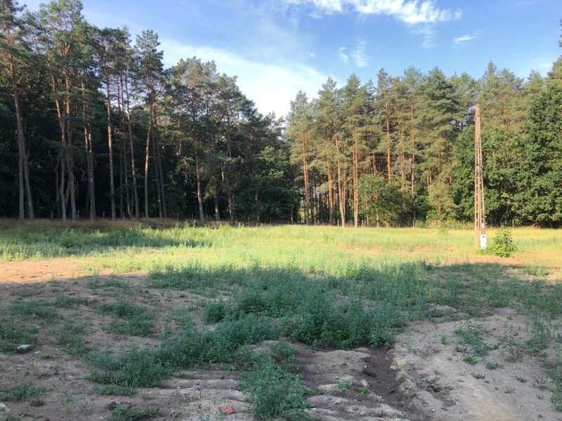 TRZEBIEŻ DZIAŁKA 1952m2 OTOCZONA LASEM