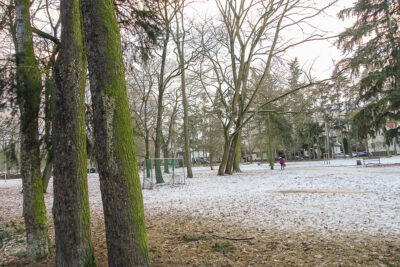 Pogodno 2 pok. 55 m2, Ip. widok na park