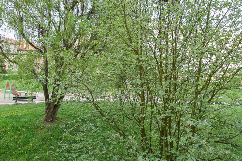 os. Książąt Pomorskich 2 pok. 46m2 2600 zł Ip.