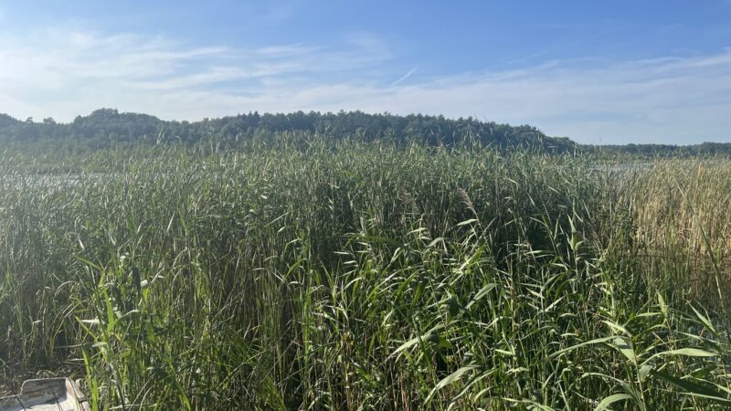 Domek nad jeziorem 20km od Szczecina.