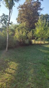 Domek nad jeziorem 20km od Szczecina.
