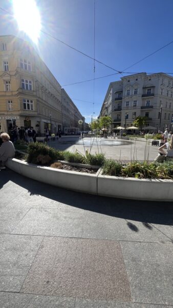 Lokal doskonały również pod gastronomię Centrum.