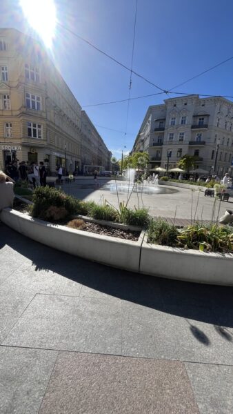 Lokal doskonały również pod gastronomię Centrum.