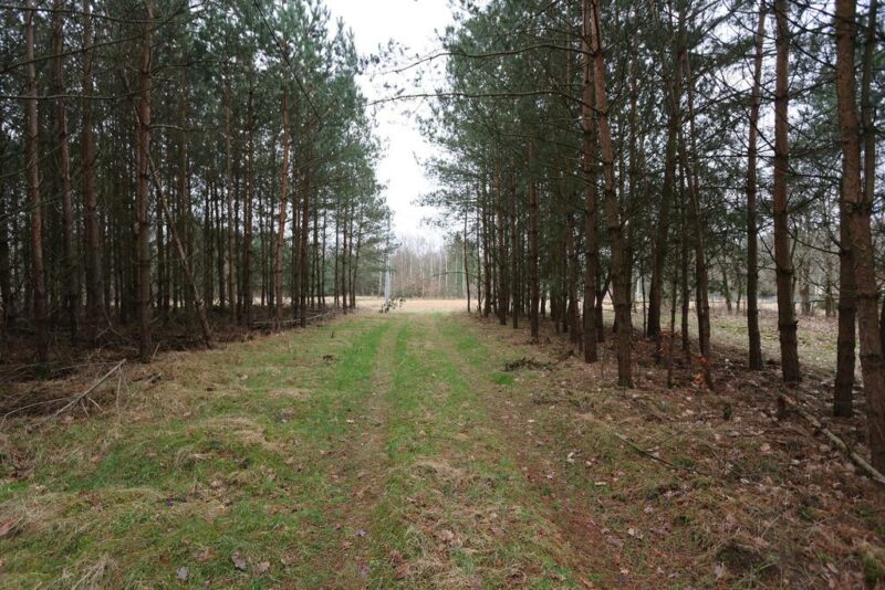 DZIAŁKA POD LASEM Z WARUNKAMI ZABUDOWY