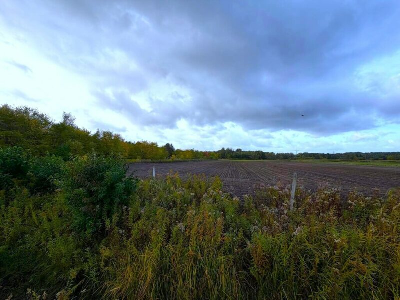 Szczecin, ul. Stary Szlak, działka z WZ, 6901 m2
