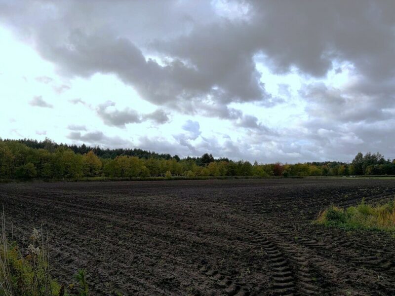 Szczecin, ul. Stary Szlak, działka z WZ, 6901 m2