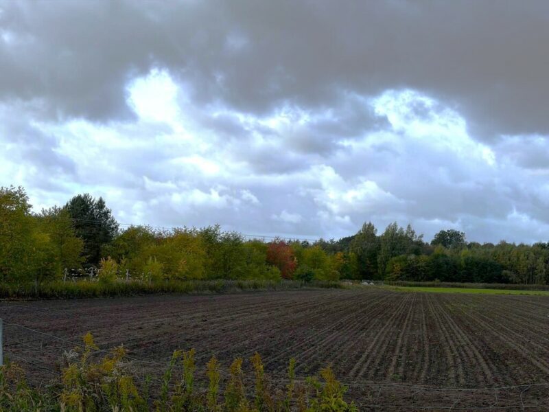 Szczecin, ul. Stary Szlak, działka z WZ, 6901 m2