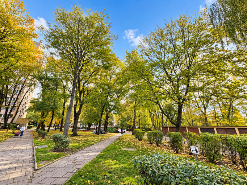 2 pokoje | 48m2 | Szczecin Centrum | Spółdzielczo-Własnościowe |