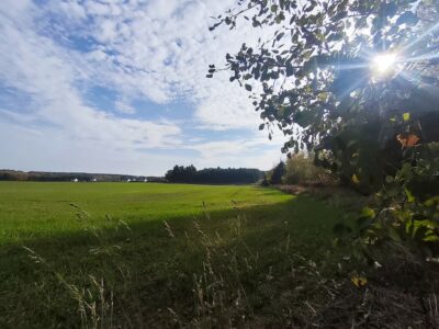 Twoja prywatna przestrzeń tuż obok jeziora i lasku brzozowego