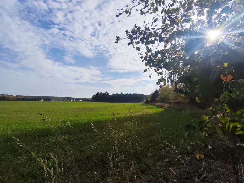 Twoja prywatna przestrzeń tuż obok jeziora i lasku brzozowego