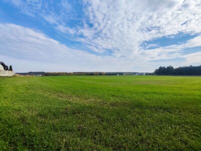 Twoja prywatna przestrzeń tuż obok jeziora i lasku brzozowego