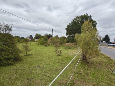 Żółwia Błoć, 5 km od Goleniowa, wydane warunki
