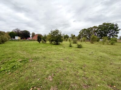 Żółwia Błoć, 5 km od Goleniowa, wydane warunki