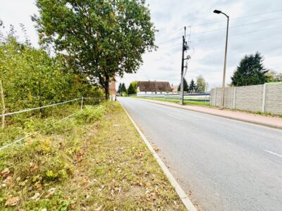 Żółwia Błoć, 5 km od Goleniowa, wydane warunki