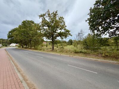 Żółwia Błoć, 5 km od Goleniowa, wydane warunki